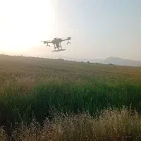 سمپاشی پهپاد کشاورزی