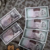 اسگناس کلکسیونی