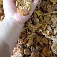 برگه|خوردنی و آشامیدنی|قم, صدوق|دیوار