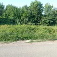 زمین نسق معتبر مناسب برای ویلاسازی|فروش زمین و ملک کلنگی|رشت, احمد گوراب|دیوار