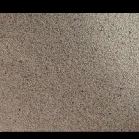 بذر سفید کشت کیلویی ۴۵۰