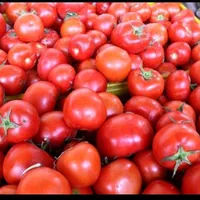 آب گوجه گیری فرسفج و روستاهای اطراف درب منزل|خوردنی و آشامیدنی|قلقل رود, |دیوار