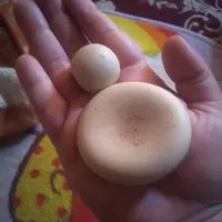 سنگ آسیاب الماس اصل|جواهرات|مرودشت, گندم‎|دیوار