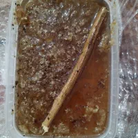 عسل صخره ای