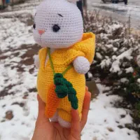 خرگوشی با کیف هویج