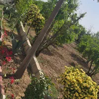 فروش باغ از ۵۴۰۰ متری سند دار|فروش خانه و ویلا|شریفآباد, |دیوار