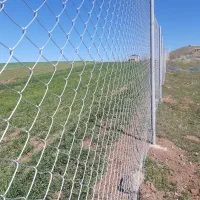 سیم خاردار و فنس حصاری آرتا اردبیل|خدمات باغبانی و درختکاری|اردبیل, |دیوار