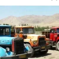 اسقاط کشنده