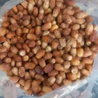 فروش انواع بذر یونجه پیاز باقله نخود فرنگی غصب|خدمات باغبانی و درختکاری|داراب, |دیوار