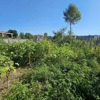 زمین به مساحت ۴۰۰ متر مربع گیلان ،تالش،چوبر