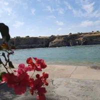 توردزفول گردی برای پنج شنبه مخصوص بانوان