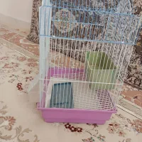 قفس پرنده|لوازم جانبی حیوانات|قیدار, |دیوار