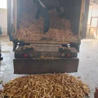 پای مرغ غذای سگ