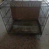 قفس پرنده|لوازم جانبی حیوانات|رباط‌کریم, رباط‌کریم|دیوار