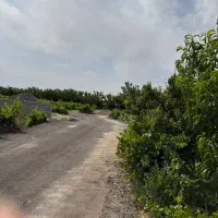 باغ و باغچه ۲۰۵ متری /چسب اسفالت|فروش زمین و ملک کلنگی|تهران, شهرک ولیعصر جنوبی|دیوار