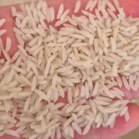 برنج شمال اقتصادی|خوردنی و آشامیدنی|اصفهان, جلفا|دیوار