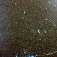 سبزی قرمه سبزی