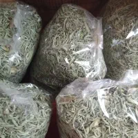 داغ مرزه خشک شده