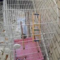 قفس پرنده 5درسایزبزرگ کلبه ای درحدنو