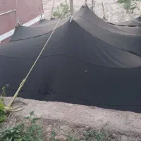 تولید گدان بلوچی سیاه چادر با استحکام و سبک