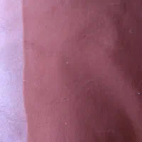 موکت سالم