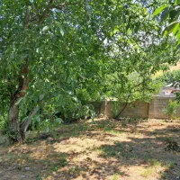 فروش-زمین-مسکونی-سندس