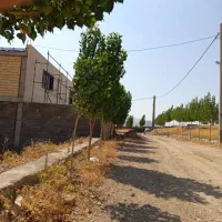 فروش و معاوضه باغ وویلا|فروش زمین و ملک کلنگی|کرمانشاه, |دیوار