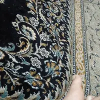 من مدارکم و تربت حیدریه  گم کردم
