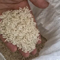 برنج اصل هاشمی|خوردنی و آشامیدنی|حویق, |دیوار