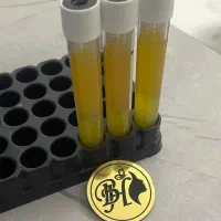 پی ار پی برای جوانسازی صورت، قطع ریزش مو، prp رشت|خدمات آرایشگری و زیبایی|رشت, گلسار|دیوار