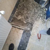 نشتی یابی تعمیرات لوله ساختمان|خدمات پیشه و مهارت|گلستان (تهران), |دیوار