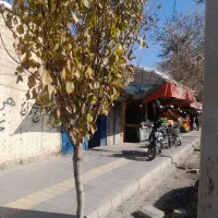 فروش زمین قابلیت تجاری خیابان ادیب