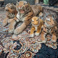 سلام ۴تا ببر