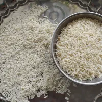 برنج صدری