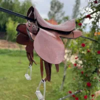 زین اسب|اسب و تجهیزات اسب‌سواری|تبریز, |دیوار