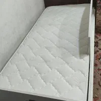 تشک نوجوان