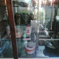 یخچال و فریزر