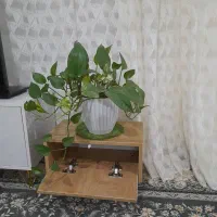 کنسول کنار مبلی زیر گلدانی|بوفه، ویترین، کنسول|بجنورد, |دیوار