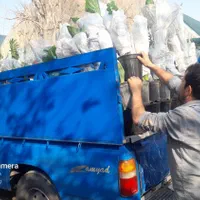 خدمات بار بری نیسان به تمام نقاط کشور|خدمات حمل و نقل|اهواز, رسالت|دیوار