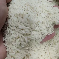 تعداد محدود با این قیمت