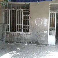 مسکن|اجارهٔ خانه و ویلا|مشهد, بهمن|دیوار