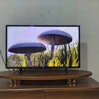 تلوزیون ال ای دی هوشمند ال جی 43اینچ کره ای اصل|تلویزیون و پروژکتور|نورآباد, |دیوار