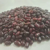 لوبیا|خوردنی و آشامیدنی|لنجان, |دیوار