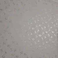 ن نقاشی ساختمان|خدمات پیشه و مهارت|رودسر, |دیوار