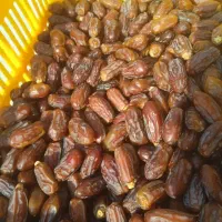 خرمای آجیلی فوق ارگانیک سعمران|خوردنی و آشامیدنی|قم, چهل درخت‎|دیوار