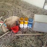 لوازم طوطی و عروس هلندی