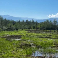 زمین بایر در روستای احمد سر گوراب|فروش زمین و ملک کلنگی|احمدسرگوراب, |دیوار