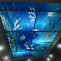 سقف کاذب|خدمات پیشه و مهارت|پاکدشت, پاکدشت (مامازند)|دیوار