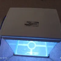 آکواریوم|ماهی|خرم‌آباد, |دیوار