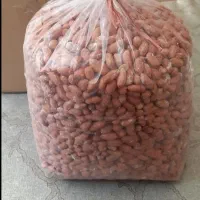 حراج بادام زمینی دشت مغان|حراج|خوی, |دیوار